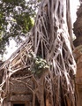 pict0172.jpg