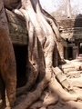 pict0173.jpg