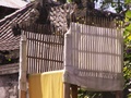 pict0129.jpg