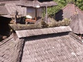 pict0132.jpg