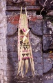 pict0142.jpg