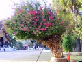 dscf6920.jpg