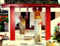 dscf6982.jpg