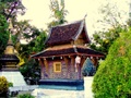 dscf7009.jpg