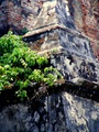 dscf3968.jpg