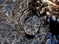dscf3969.jpg