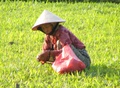 dscf0736.jpg