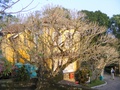 dscf0777.jpg