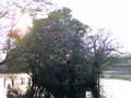 dscf0779.jpg