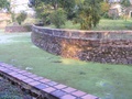 dscf0782.jpg