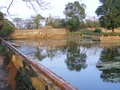 dscf0783.jpg