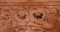 pict0130.jpg