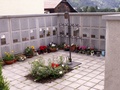 pict0074.jpg