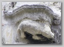 dscf4237.jpg
