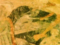 pict0035.jpg
