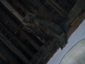 dscf4446.jpg
