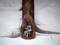 dscf4447.jpg