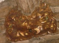 pict0090.jpg