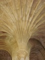 pict0177.jpg