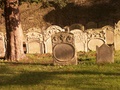 pict0205.jpg