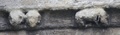 dscf4857.jpg