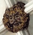 dscf8596.jpg
