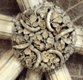 dscf8620.jpg