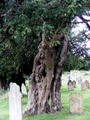 dscf4596.jpg