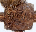 dscf4599.jpg