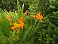 dscf8293.jpg