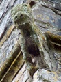 dscf8298.jpg