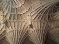 dscf8354.jpg