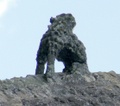 dscf4662.jpg