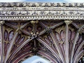 dscf4677.jpg
