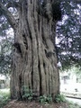 dscf4716.jpg