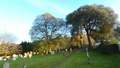 p1140553.jpg