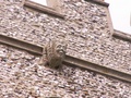 pict0079.jpg