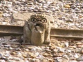 pict0097.jpg
