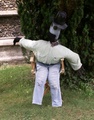 pict0006.jpg