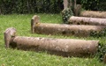 pict0008.jpg