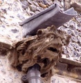 pict0015.jpg