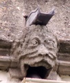 pict0018.jpg