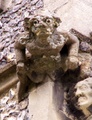 pict0019.jpg