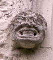 pict0020.jpg