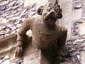 pict0026.jpg
