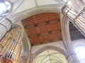 img_9833.jpg