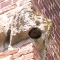 pict0020.jpg