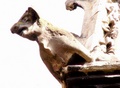 pict0222.jpg