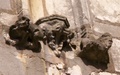 pict0246.jpg