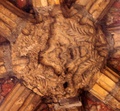 pict0298.jpg